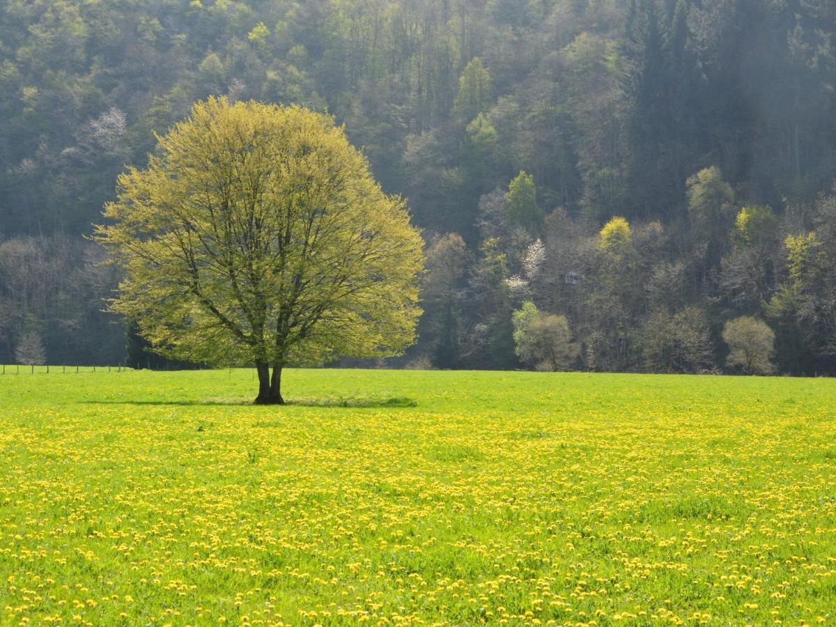 Independant Gite At The Calm Way In The Center Houffalize Exterior foto